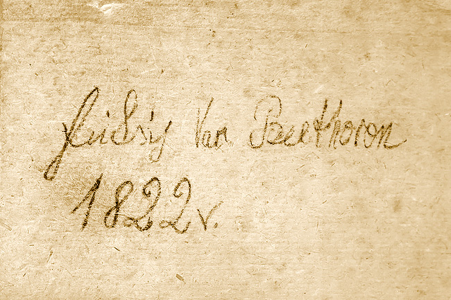 Beethoven-obrazek